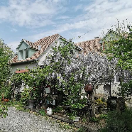 Forest View Studio Apartment Kaposhomok Exterior foto