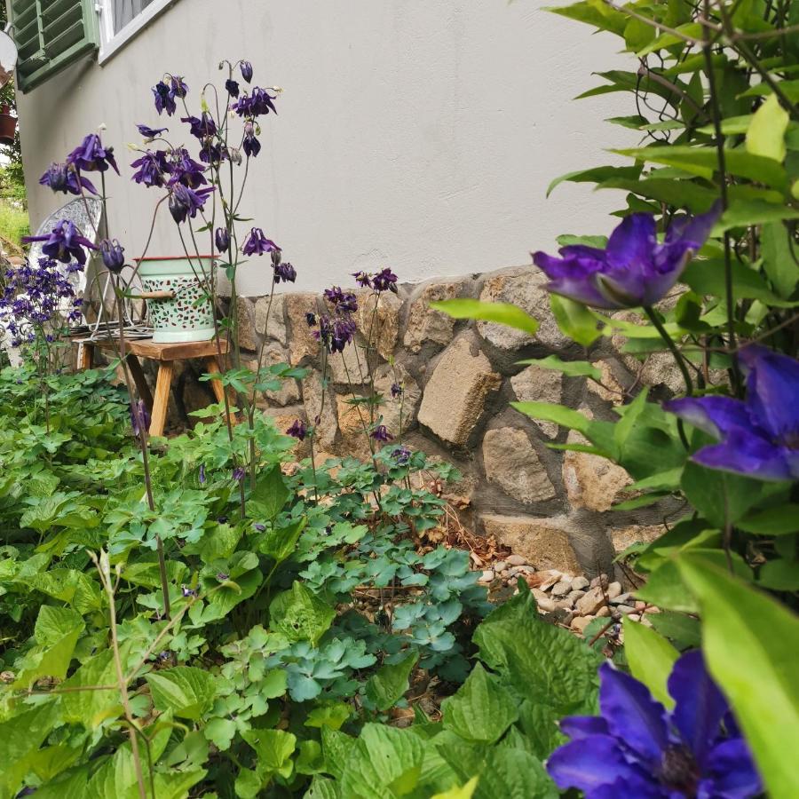 Forest View Studio Apartment Kaposhomok Exterior foto